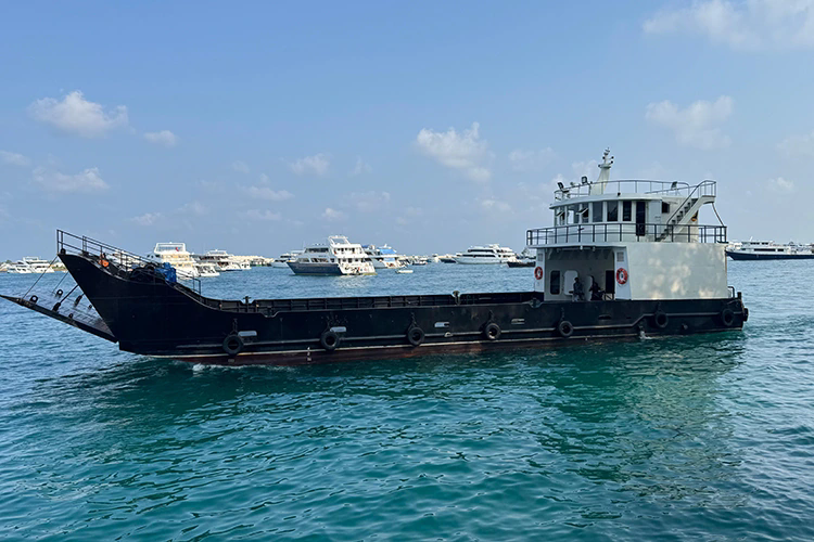 Wie revolutionieren Fährschiffe den Seeverkehr?